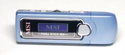  MSI Mega Stick 256
